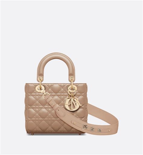 lady dior small